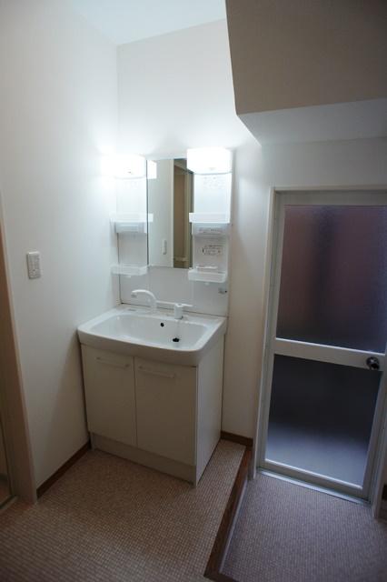Wash basin, toilet. Vanity and the back door