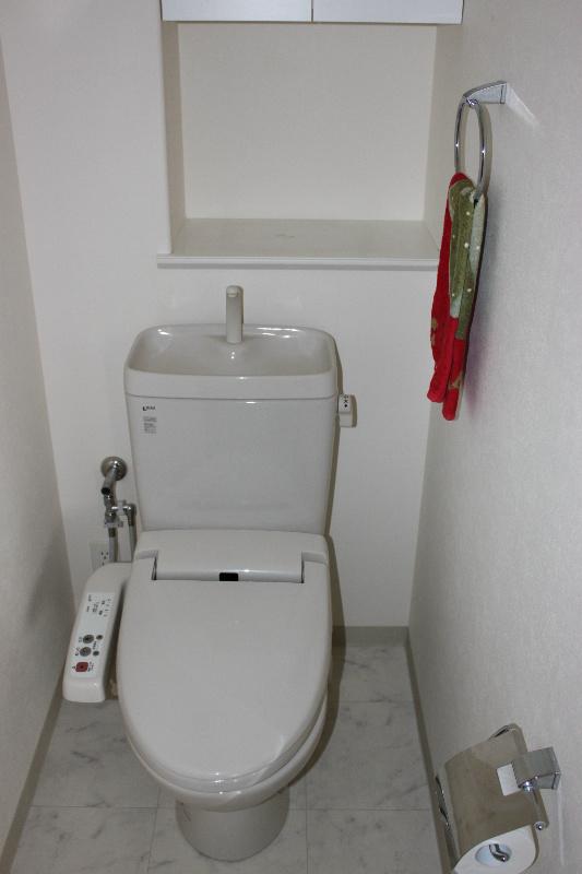 Toilet. Cabinet is is there is calm atmosphere of the toilet