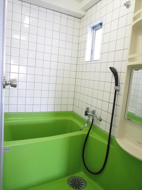 Bath. Matsuyama Tachibana 10th Green Heights bathroom