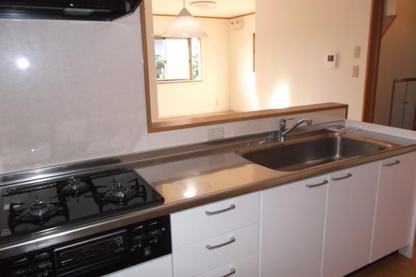 Kitchen. Face-to-face kitchen