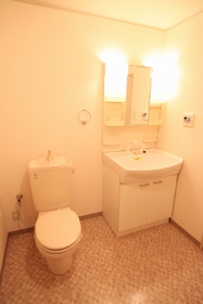 Washroom. Shampoo dresser toilet