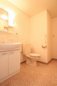 Washroom. Will shampoo dresser toilet undressing space