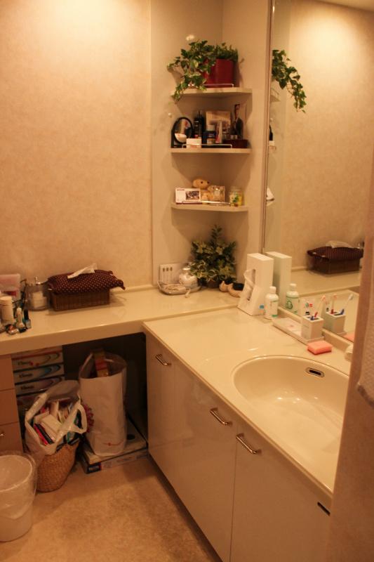 Wash basin, toilet. counter, It is vanity storage and a large