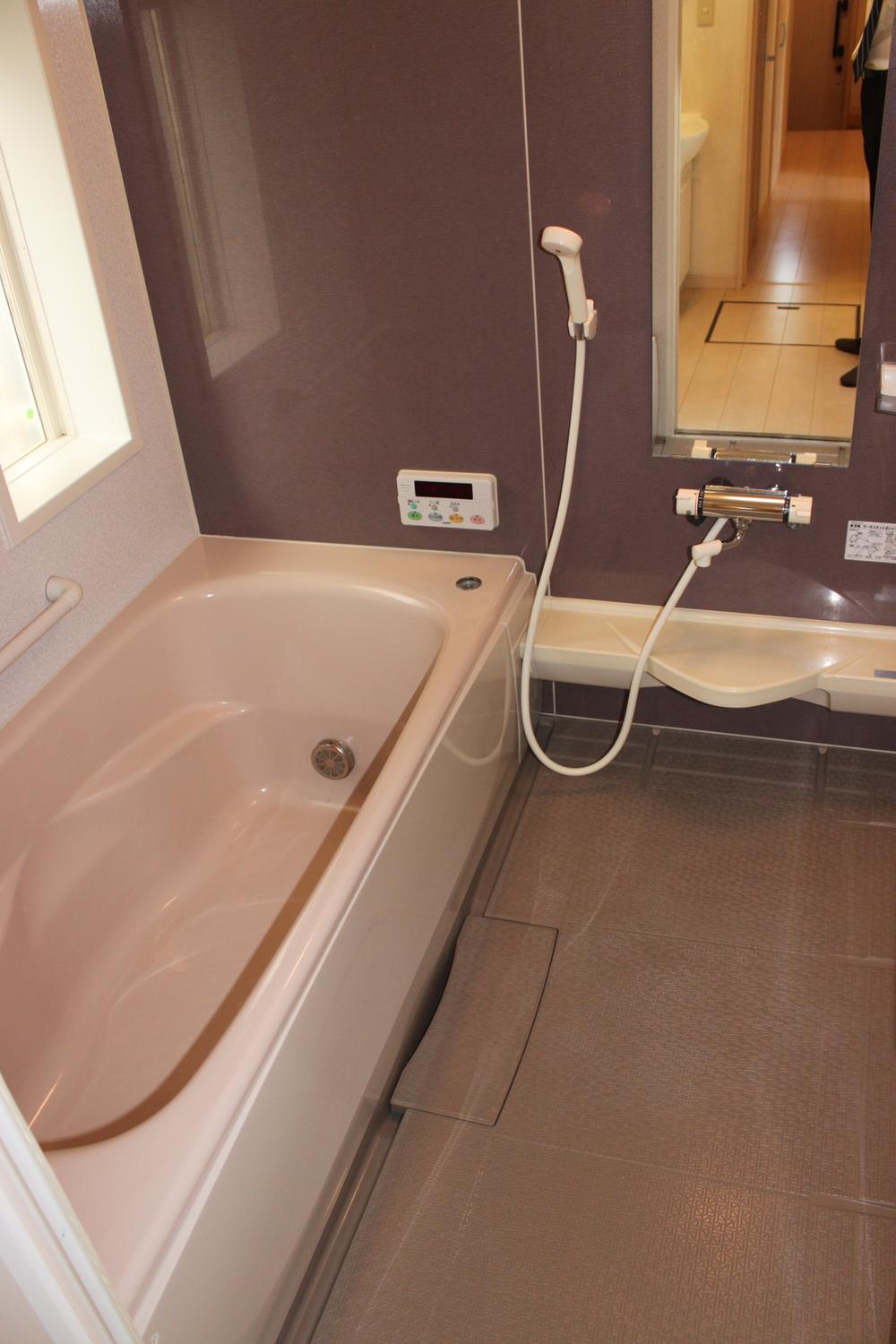 Bathroom. It is a shallow low-floor type of crossing