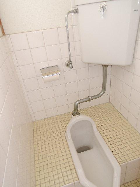 Toilet. Japanese-style toilet