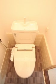 Toilet. Cleaning feature with toilet seat