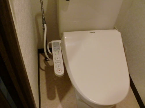 Other. Cleaning function with toilet seat