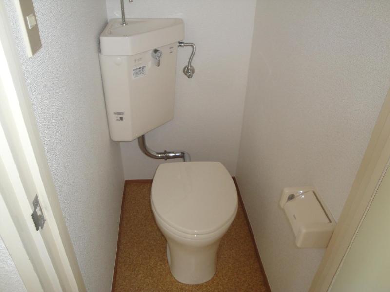 Toilet. toilet Western water