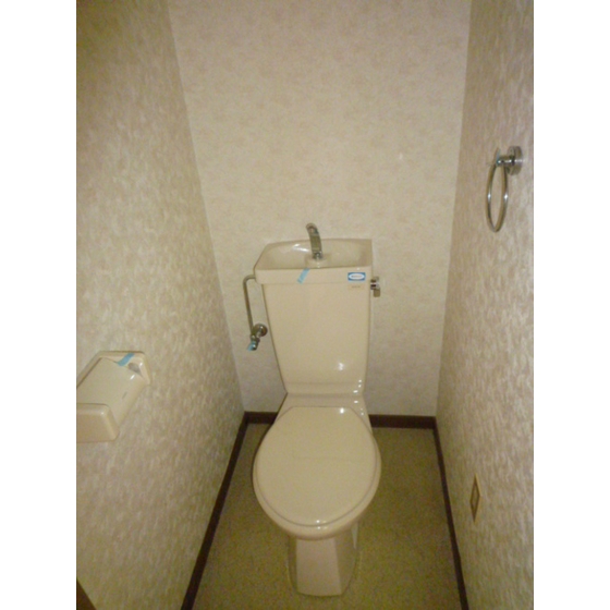 Toilet. Toilet