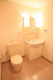 Washroom. Shampoo dresser toilet