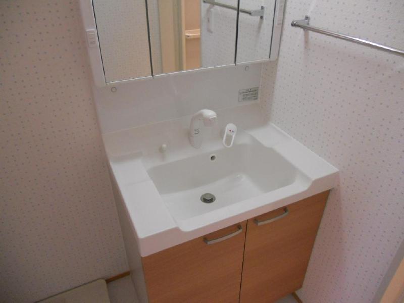 Washroom. Washbasin with shower