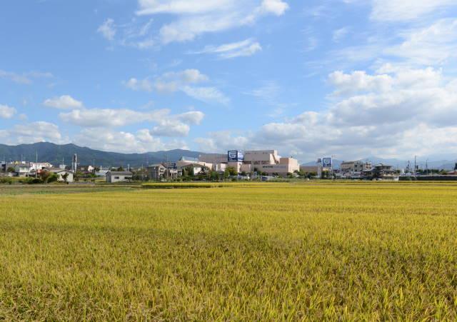 Shopping centre. Fujiguran Shigenobu 700m to