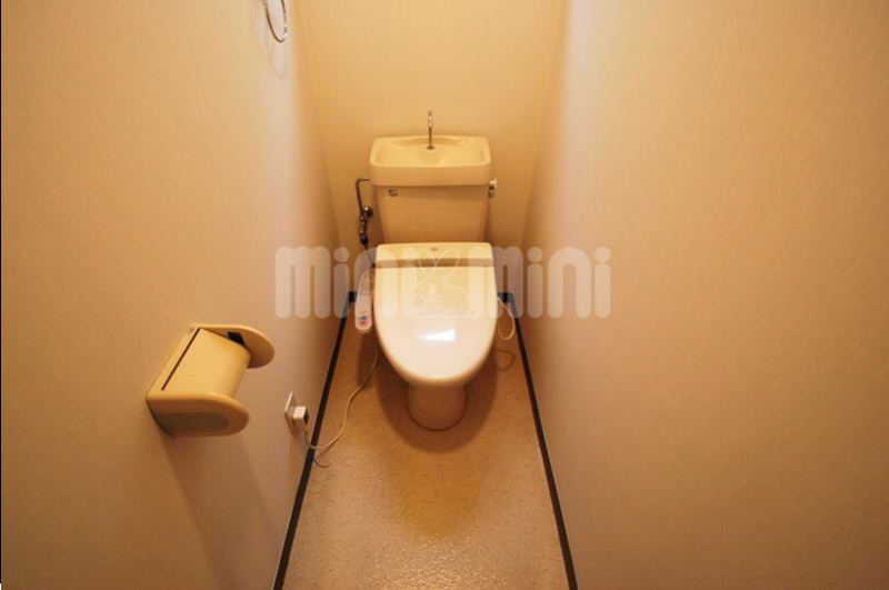 Toilet. Warm water washing heating toilet seat