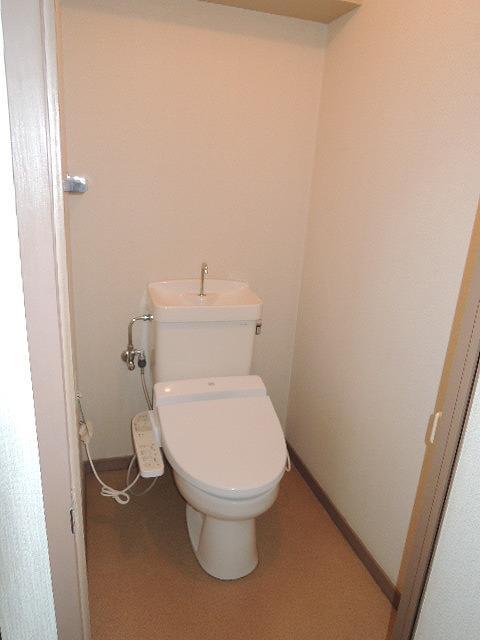 Other. It comes with shower toilet!