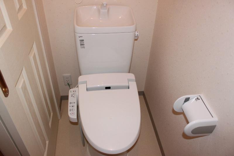 Toilet. The first floor is a toilet of the sliding door