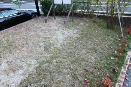 Garden. This maintenance is easy to compact garden
