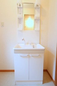 Toilet. Bathroom Vanity