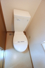 Toilet. Toilet