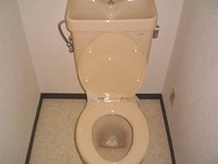 Toilet. Toilet