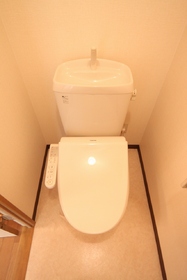 Toilet. Cleaning feature with toilet seat