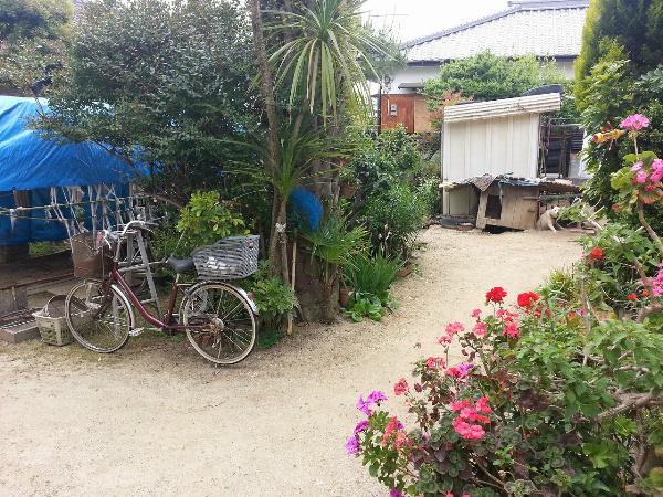 Local land photo. It is a spacious garden.