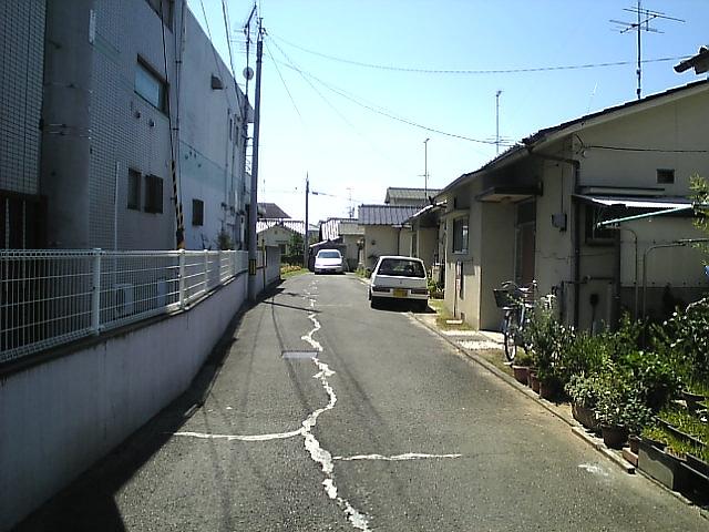 Other local