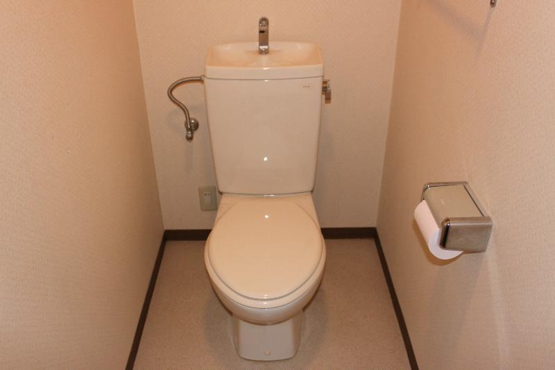 Toilet. It is calm toilet with depth