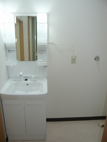 Washroom. Shampoo Dresser Laundry Area indoor