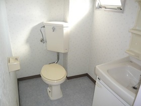 Toilet. Separated toilet washbasin