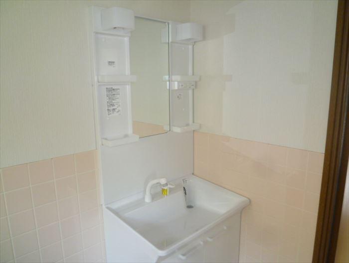 Wash basin, toilet. New vanity