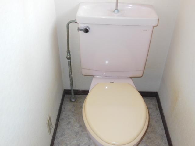 Toilet. Autumn leaves town Detached Second floor toilet