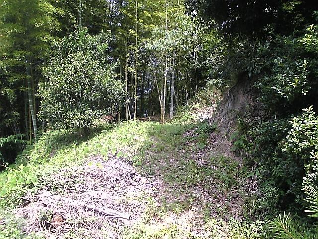 Local land photo