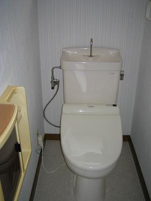 Toilet