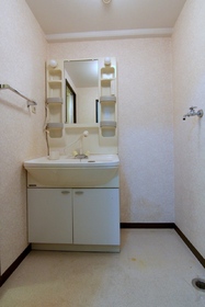 Washroom. Bathroom Vanity