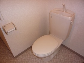 Toilet. Western-style toilet