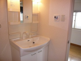 Washroom. Shampoo dresser ・ Laundry Area indoor