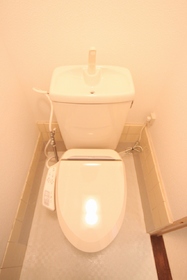 Toilet. Cleaning feature with toilet seat