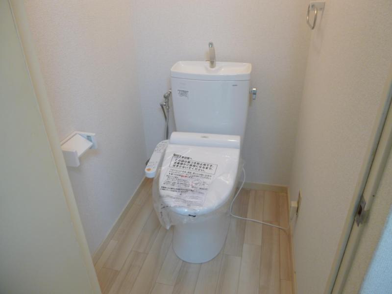 Toilet. New toilet