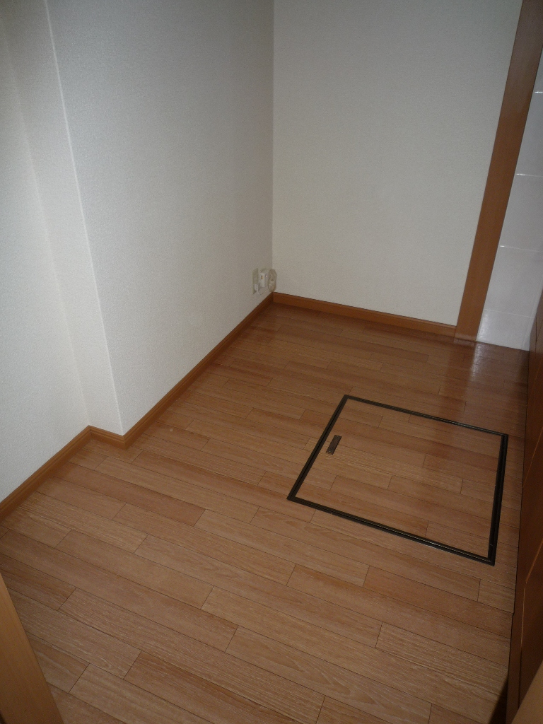 Other. K2.9 Pledge, There is under-floor storage.