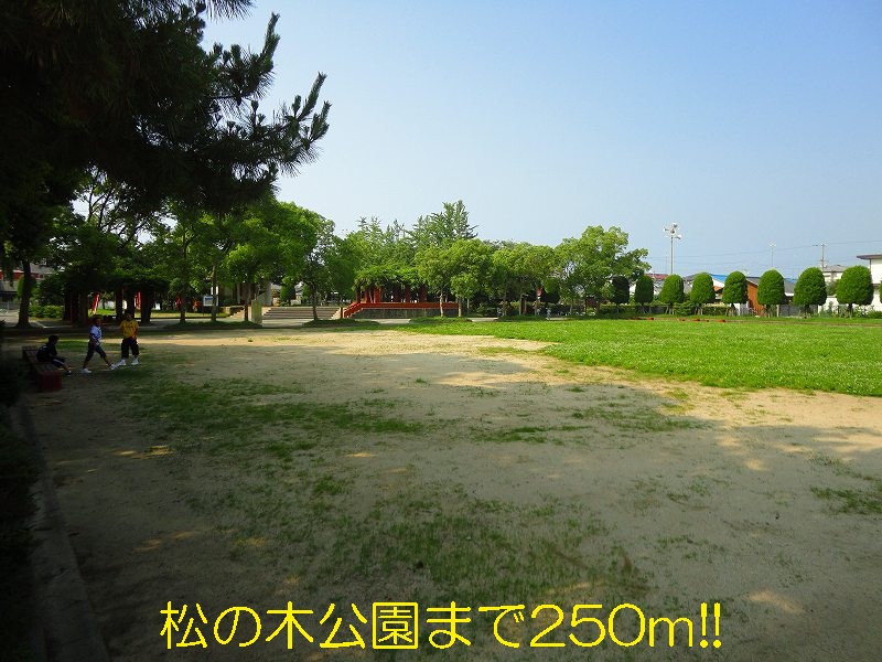 park. 250m until the pine tree park (park)