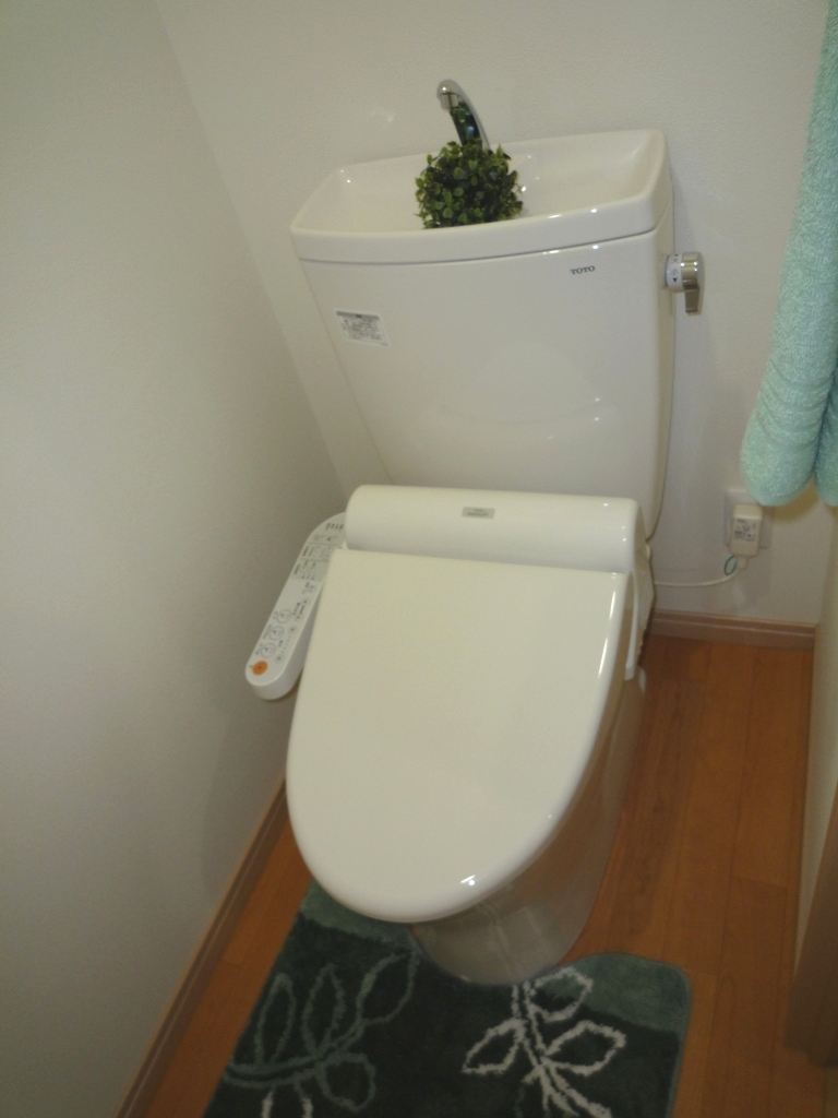 Toilet. It is with a bidet