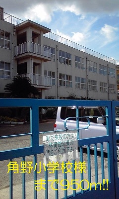Primary school. Sumino Elementary School like to (elementary school) 950m