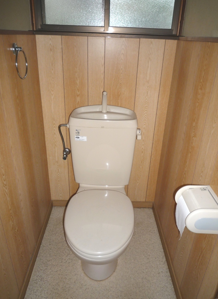 Toilet. It is a flush toilet