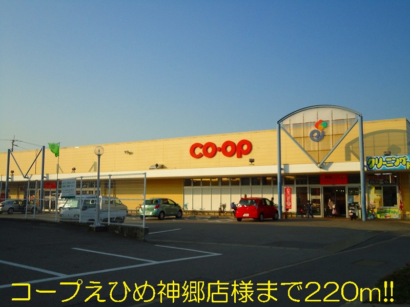 Supermarket. Coop Ehime Shingoh shops like to (super) 220m