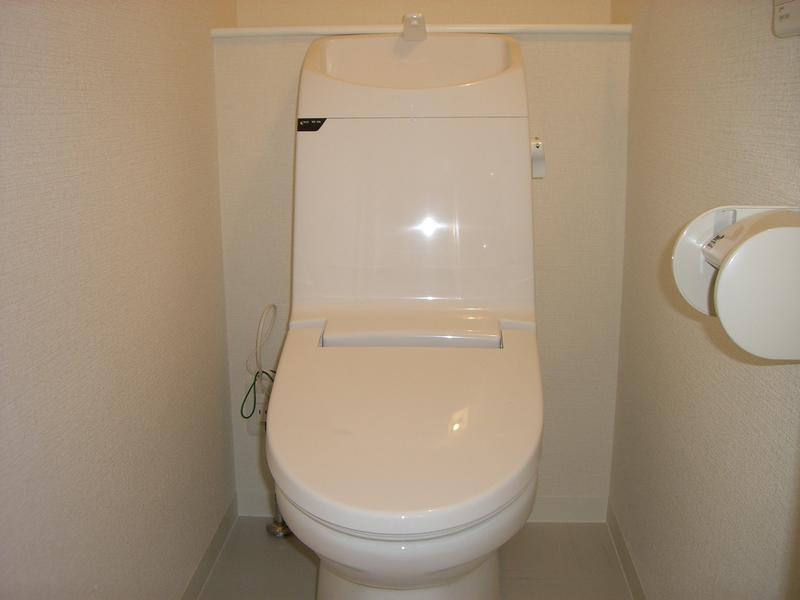 Toilet. Indoor (January 2011) shooting