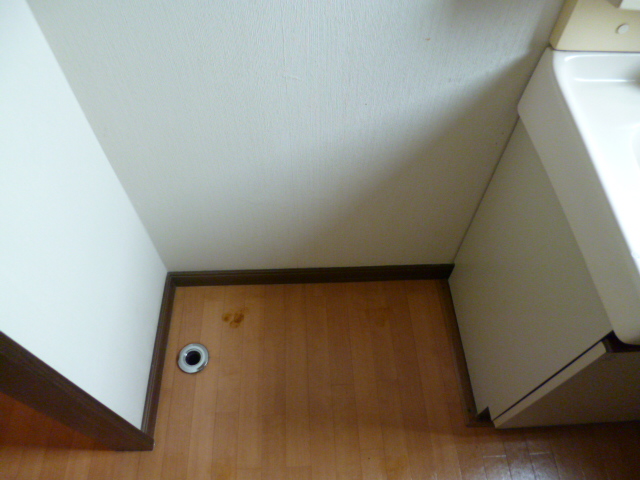 Other. Laundry Area