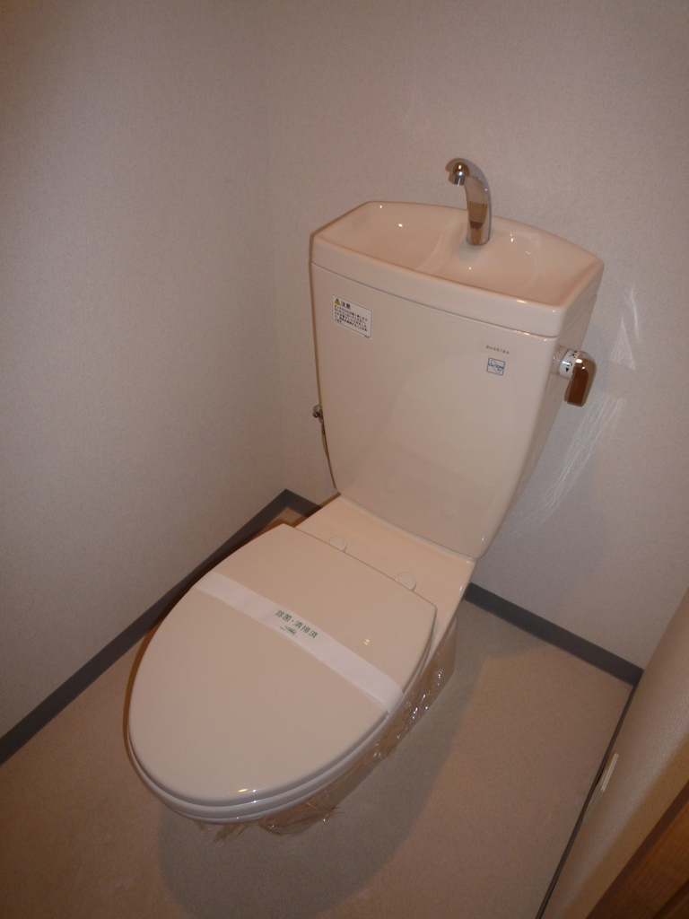 Toilet. With shelf