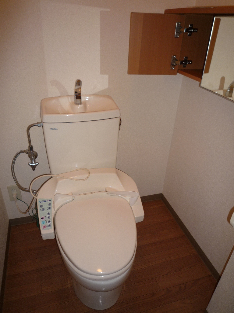 Toilet