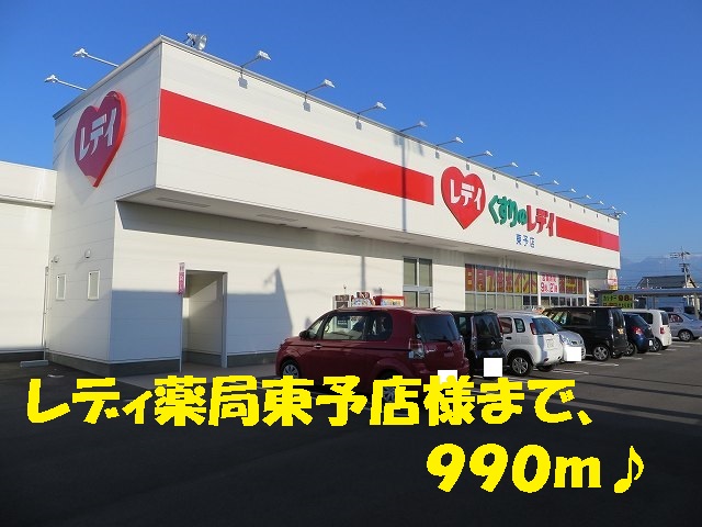 Dorakkusutoa. Lady pharmacy Toyo shop like 990m to (drugstore)