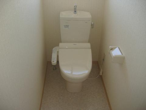 Toilet. It has been replaced with a new one
